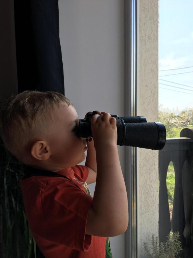 Sarnia Polana Villa Kostrzyca Dış mekan fotoğraf