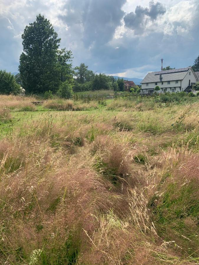 Sarnia Polana Villa Kostrzyca Dış mekan fotoğraf