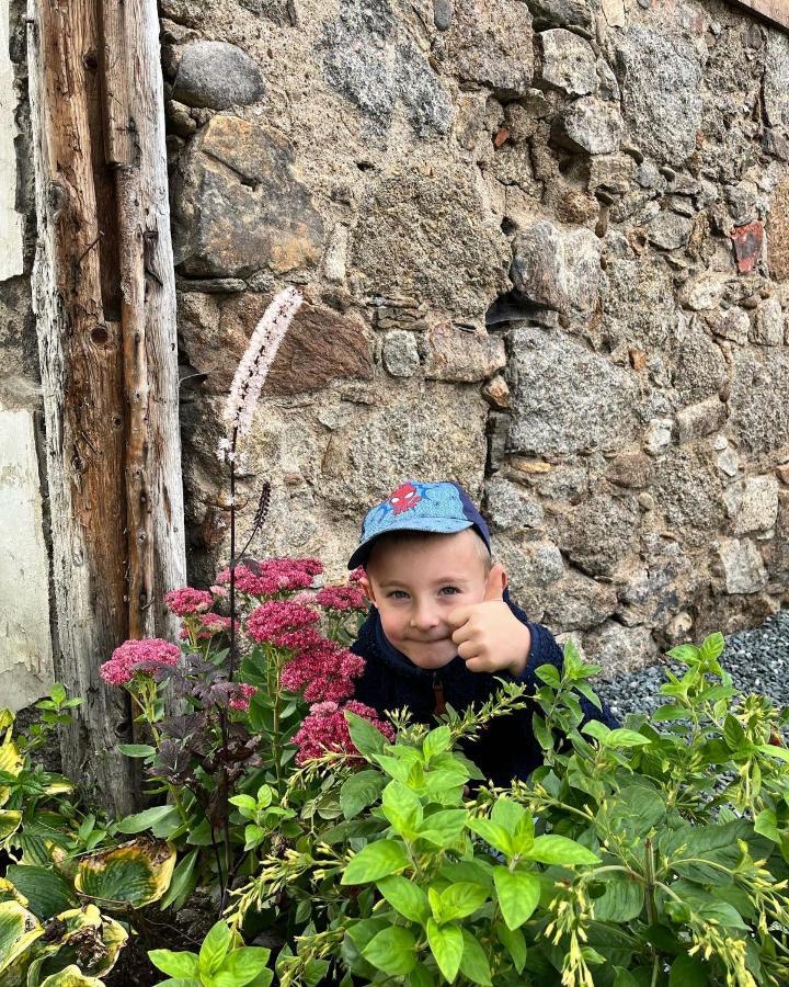 Sarnia Polana Villa Kostrzyca Dış mekan fotoğraf