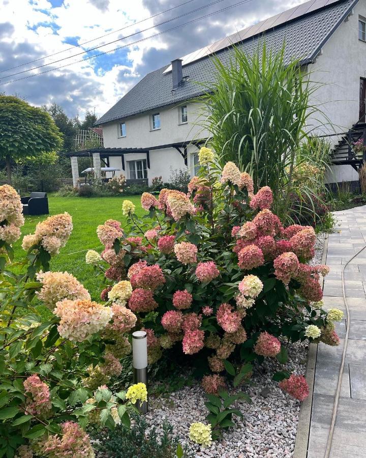 Sarnia Polana Villa Kostrzyca Dış mekan fotoğraf