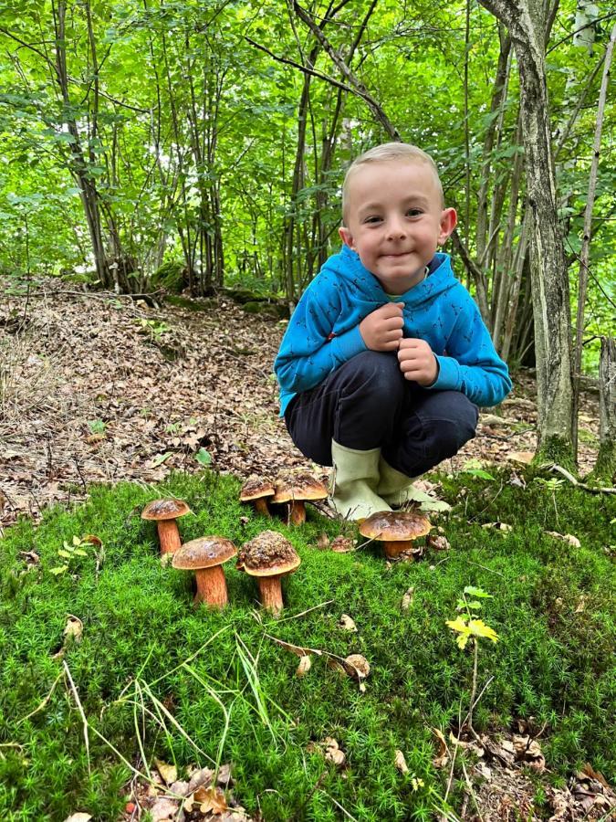 Sarnia Polana Villa Kostrzyca Dış mekan fotoğraf