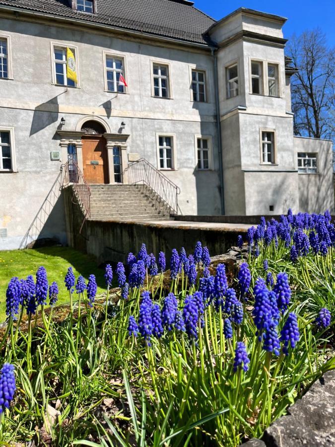 Sarnia Polana Villa Kostrzyca Dış mekan fotoğraf